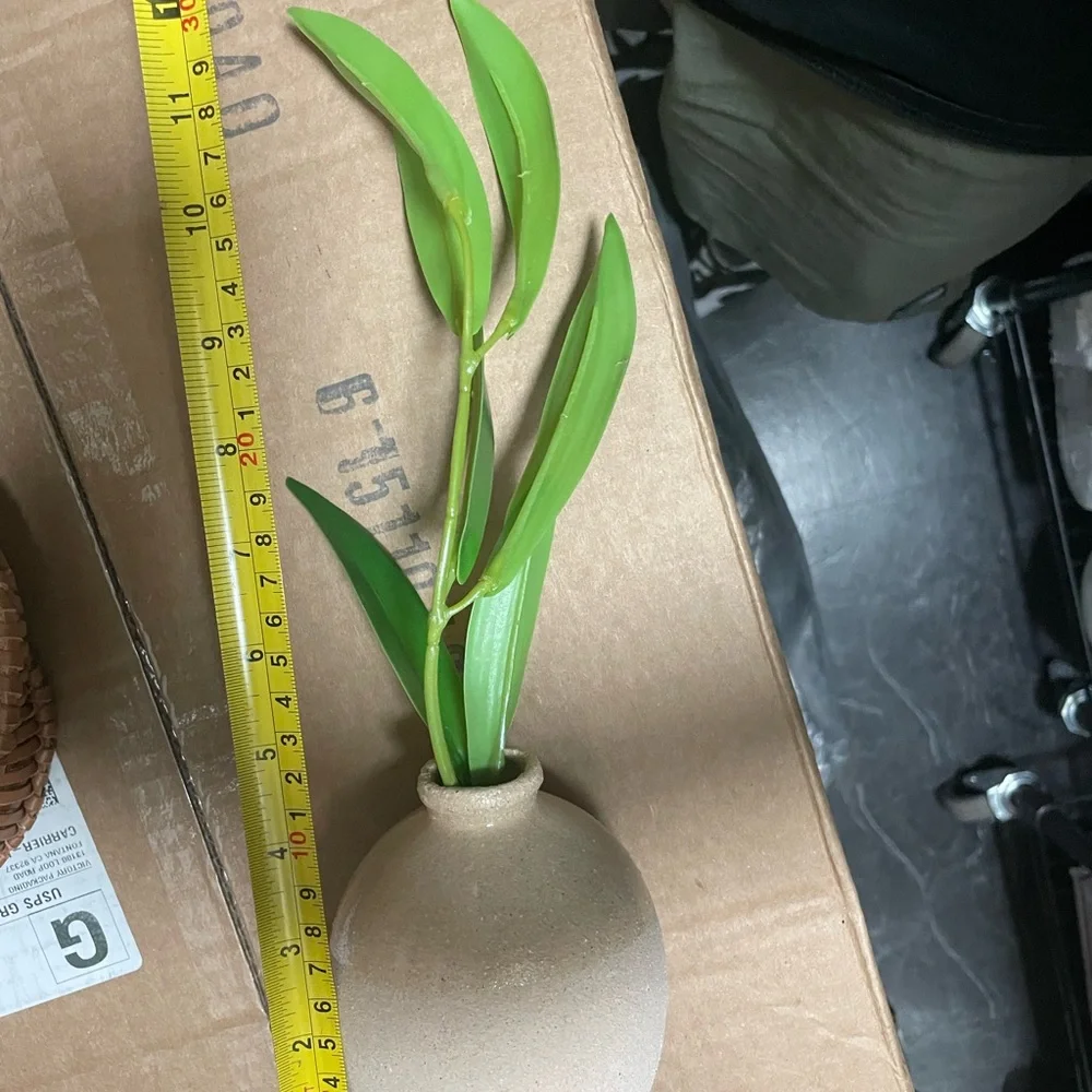 Ceramic vase with green plant cuttings tabletop arrangement from Threshold